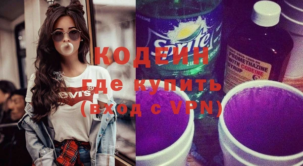 индика Кинешма