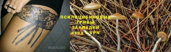 гидра Абинск