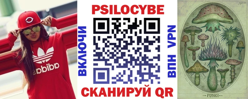 Псилоцибиновые грибы прущие грибы  как найти   KRAKEN ТОР  Фокино 